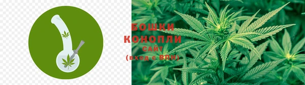 крисы Инта