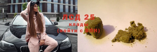 тгк Инсар