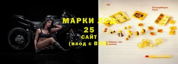 тгк Инсар