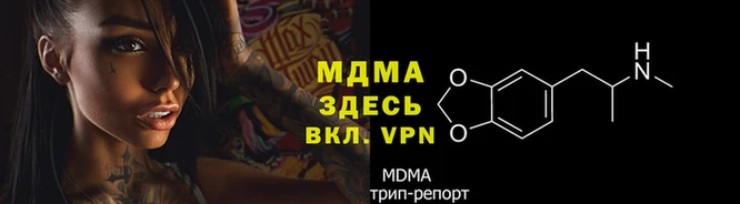 мяу мяу мука Иннополис