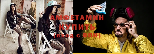 крисы Инта