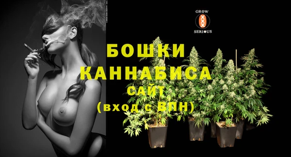 мяу мяу мука Иннополис