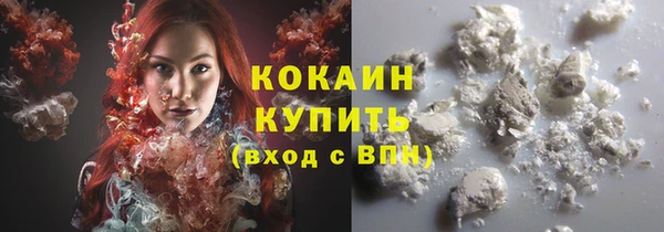 мяу мяу мука Иннополис
