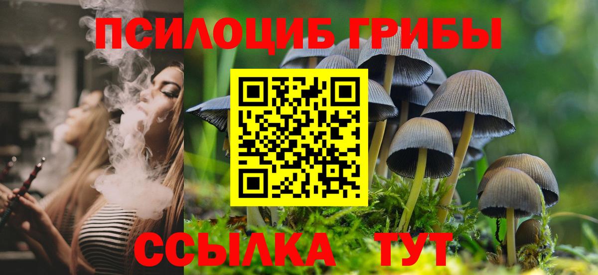 Псилоцибиновые грибы Cubensis  Вход с VPN  Псилоцибиновые грибы GOLDEN TEACHER  Северобайкальск 