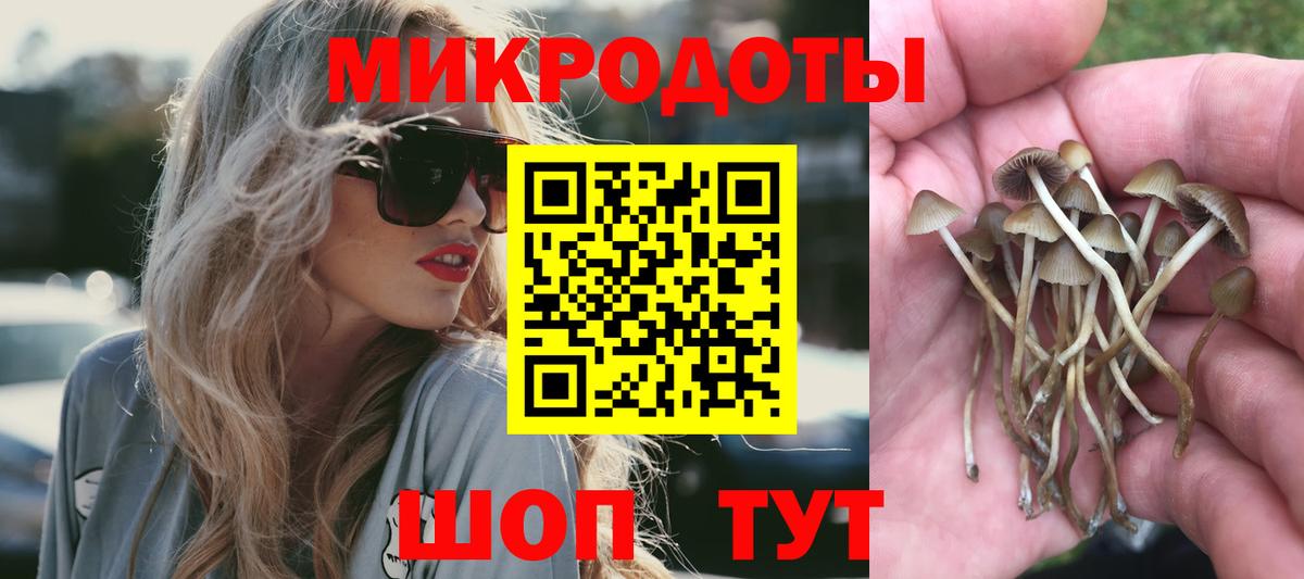 Псилоцибиновые грибы мухоморы Северобайкальск