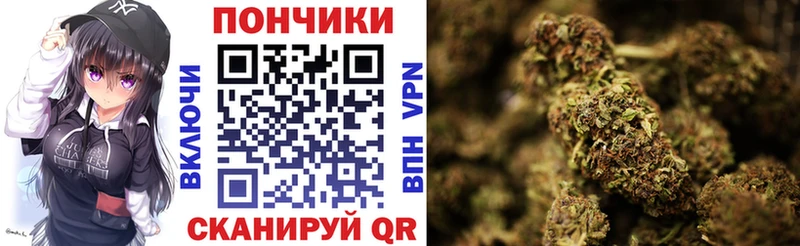 МАРИХУАНА сатива  kraken   Северобайкальск 
